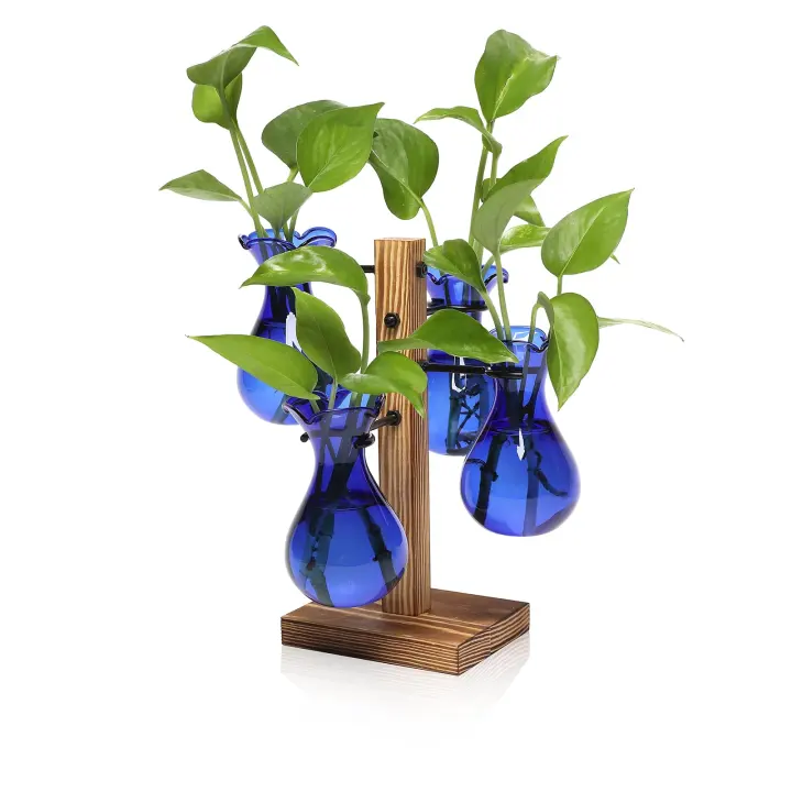 4-Bulb Glass Plant Propagation Station — Hanging Bulb Set