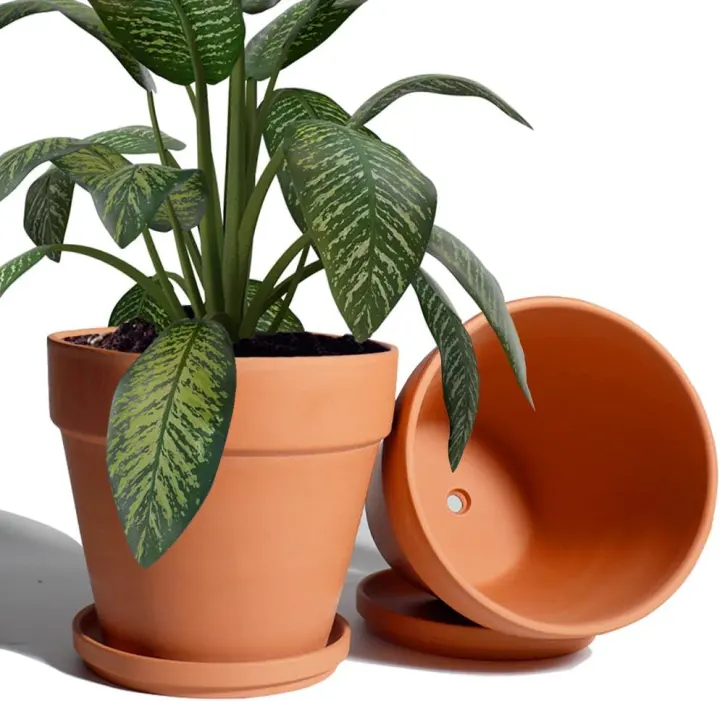 8-Inch Terracotta Clay Plant Pots with Saucers — 2-Pack