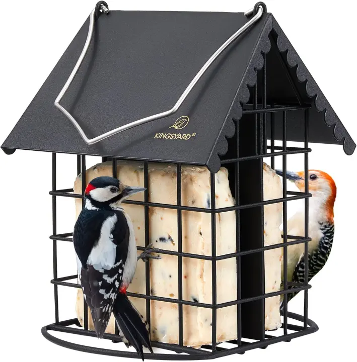 All-Metal Double Suet Cage Feeder with Perch and Weatherproof Roof