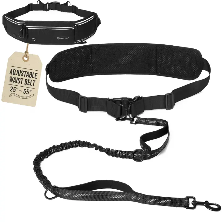 Hands-Free Waist Dog Leash with Bungee, Pouch & Lumbar Support