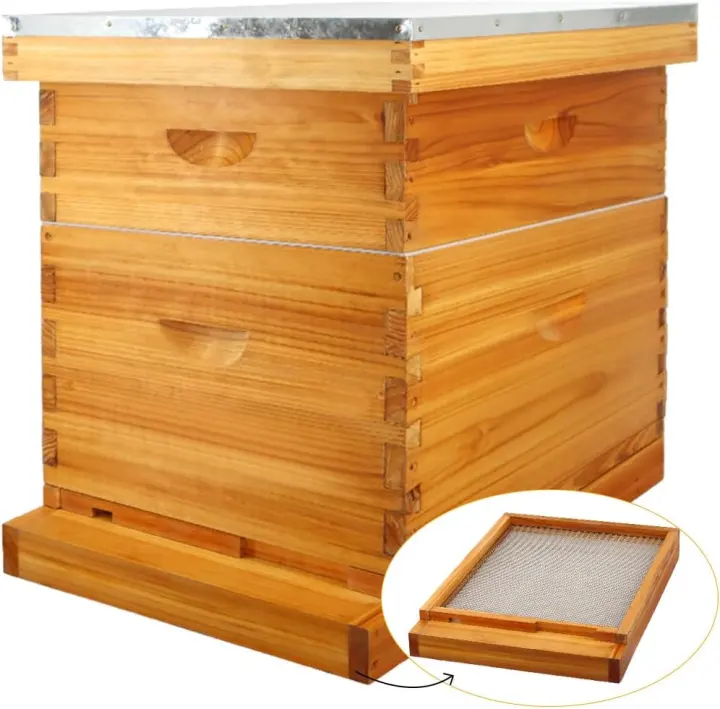 MayBee 10-Frame Cedar Beehive Kit with Screened Bottom Board