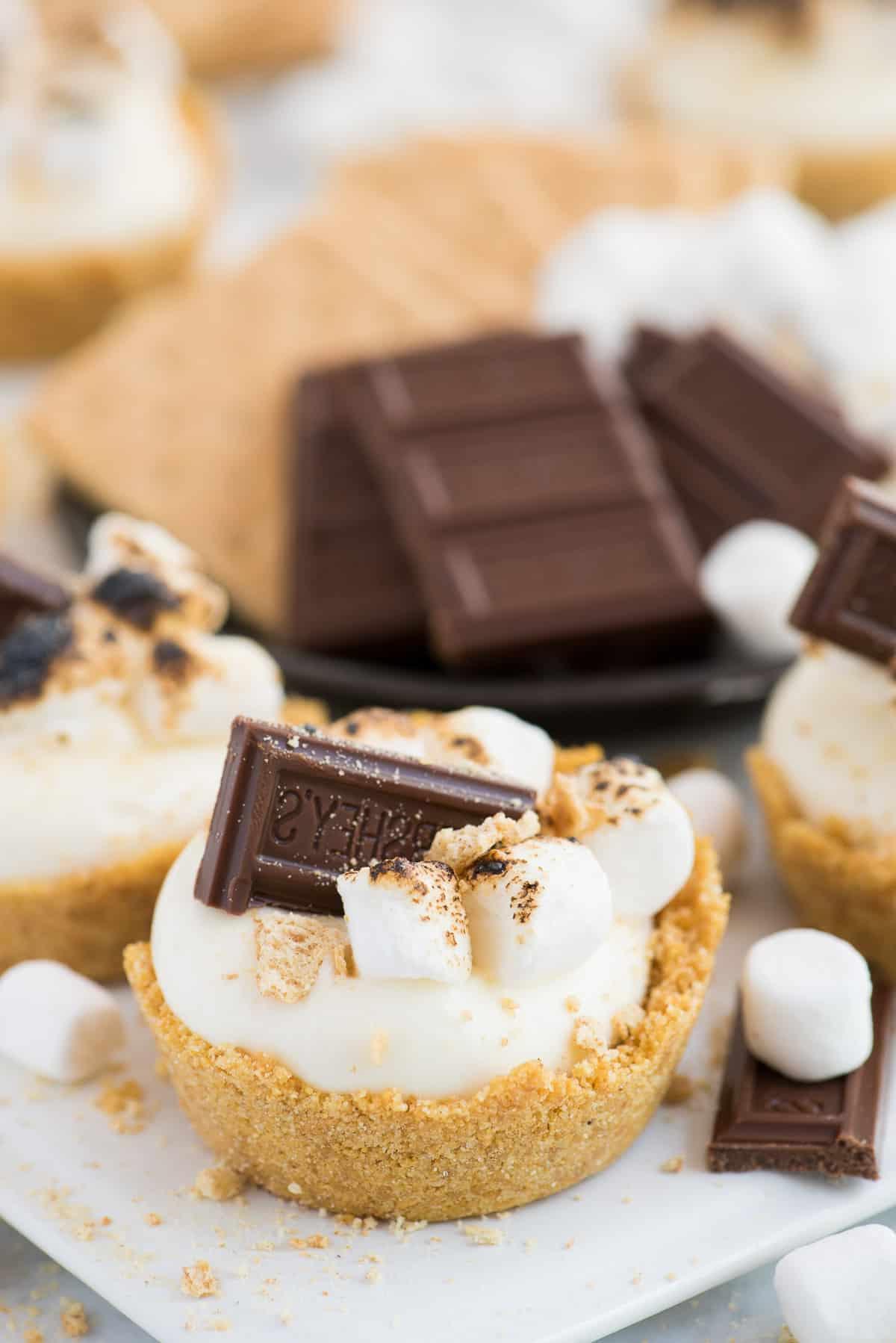 Mini Cheesecake S'mores Senza Cottura con base di biscotto, ripieno cremoso, marshmallow tostati e pezzetti di cioccolato