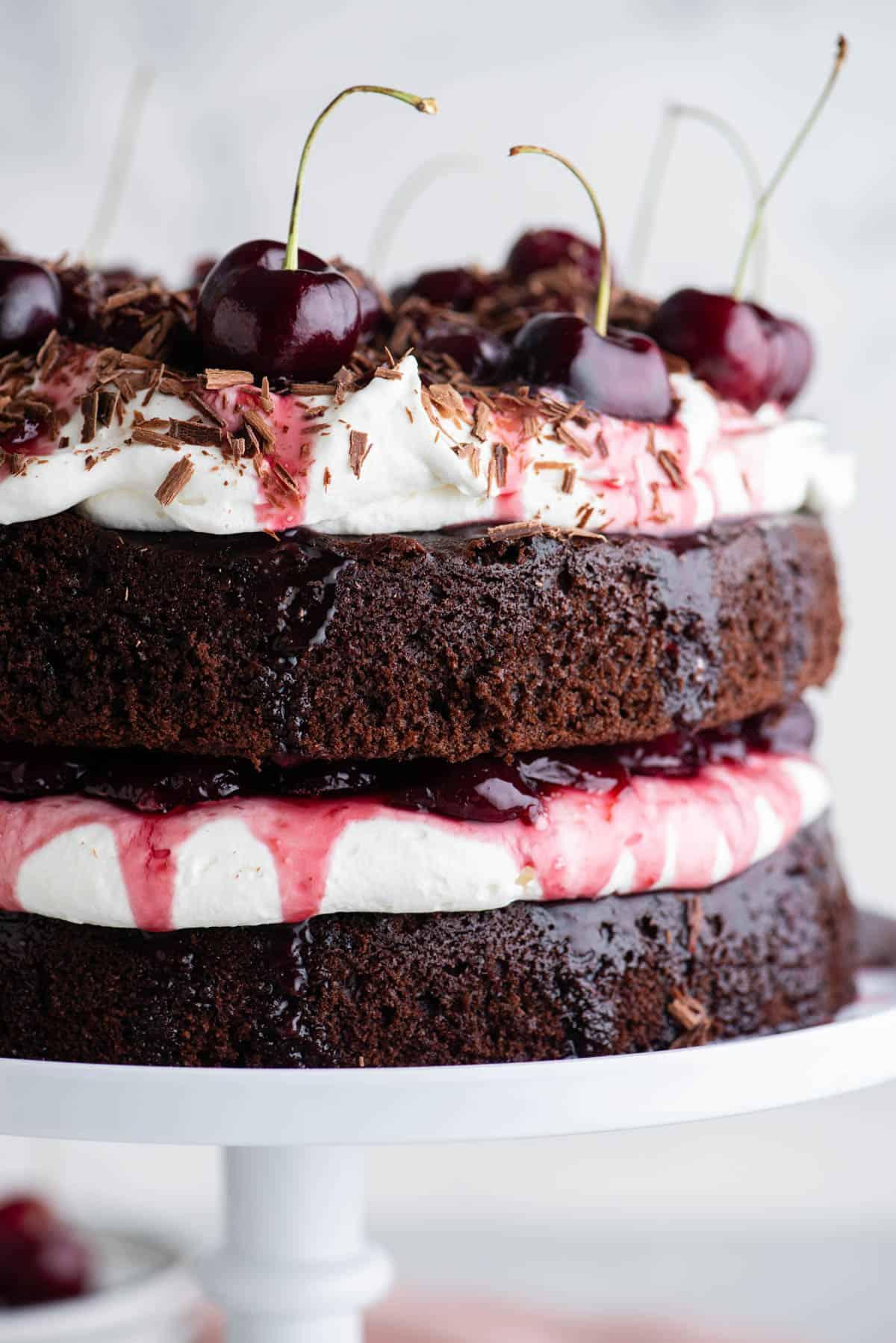 Primo piano del lato di una Torta Foresta Nera su un'alzatina bianca con strati di torta al cioccolato, panna montata e ripieno di ciliegie