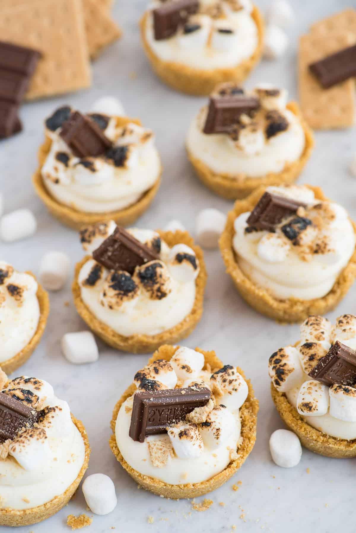 Un primo piano di Mini Cheesecake S'mores, mostrando la stratificazione di biscotto, crema e guarnizioni