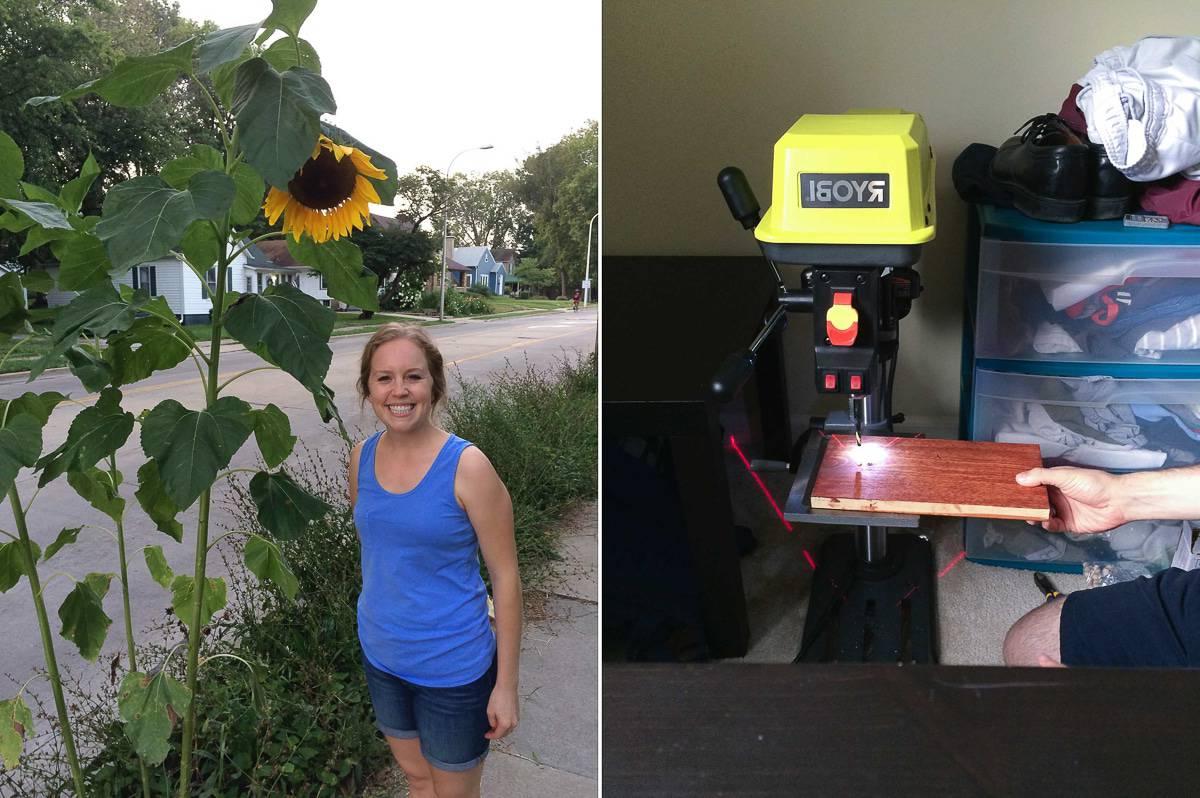 Dietro le quinte della cucina - Il primo anno Agosto 2016 - Trapano in camera da letto e girasoli giganti