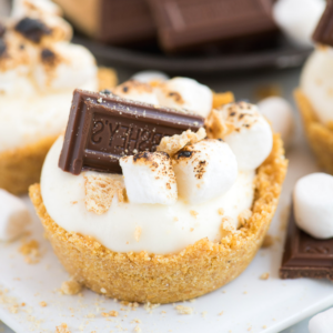 Mini Cheesecake S'mores Senza Cottura con base di biscotto, ripieno cremoso, marshmallow tostati e pezzetti di cioccolato Hershey's, circondata da mini marshmallow e pezzi di cioccolato extra.