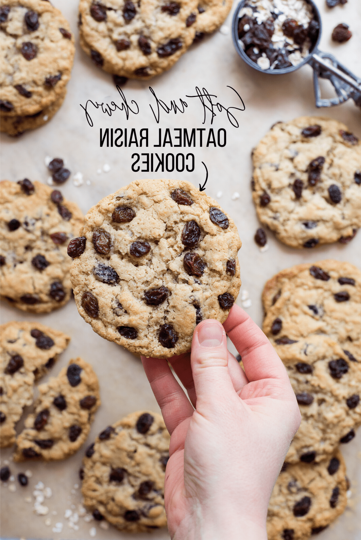 Biscotti avena e uvetta su carta forno marrone con uvetta e avena sparse intorno con testo in sovrimpressione