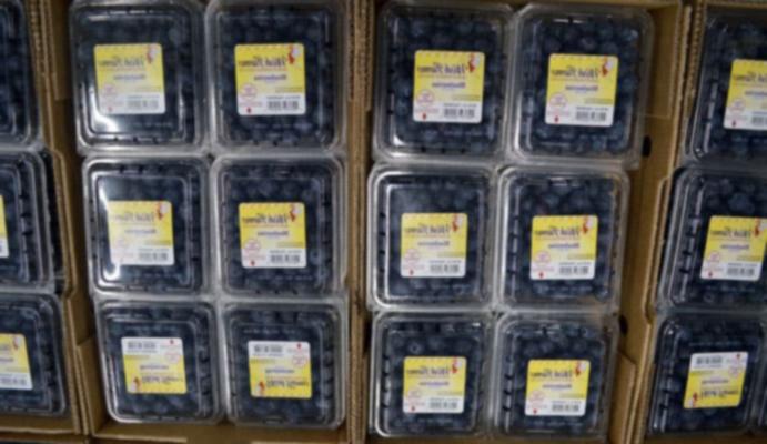 Συσκευασμένα μπλε μούρα Wish Farms έτοιμα για πώληση