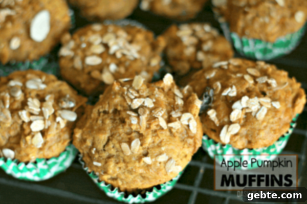 Muffins μήλου κολοκύθας