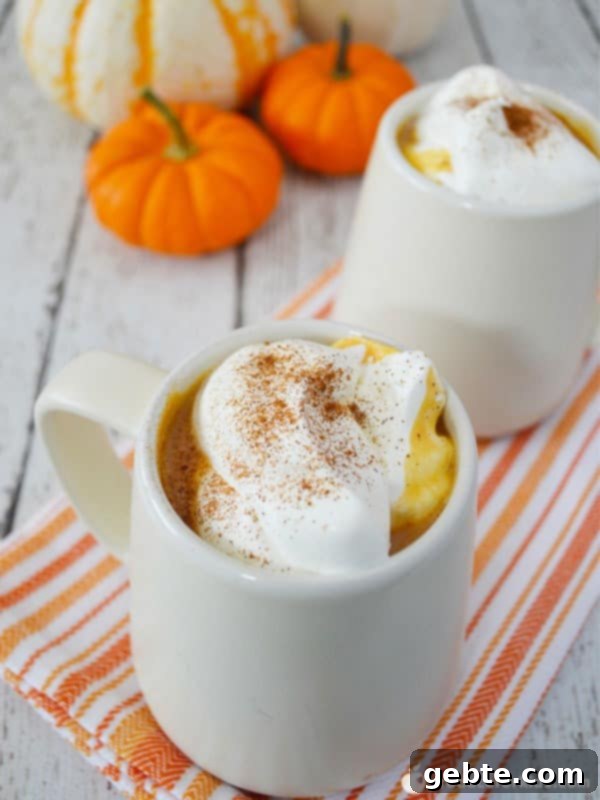 Παιδικό Pumpkin Latte