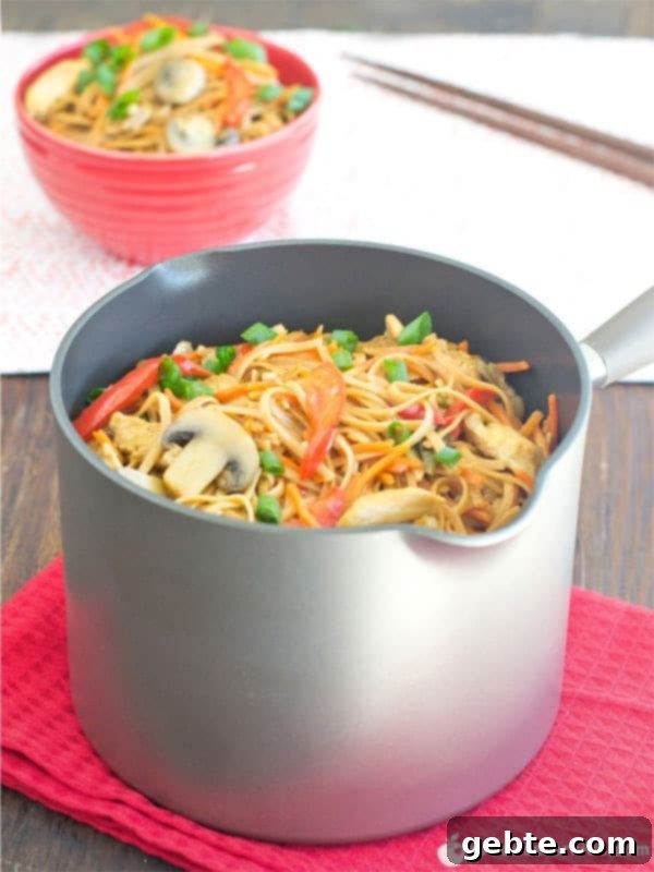 Κοτόπουλο Lo Mein σε μια κατσαρόλα