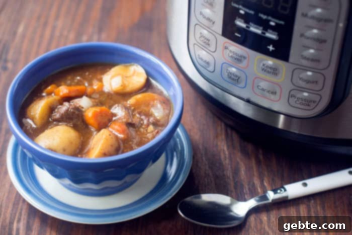 Στιφάδο βοδινό Instant Pot, μια θρεπτική και χορταστική επιλογή.