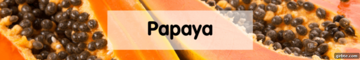 Παπάγια
