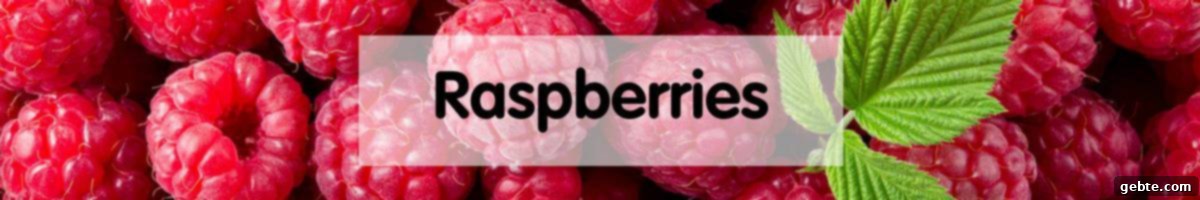 Σμέουρα (Raspberries)
