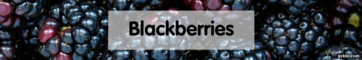 Μαύρα Μούρα (Blackberries)