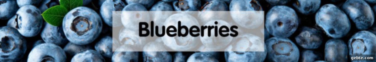 Μύρτιλα (Blueberries)