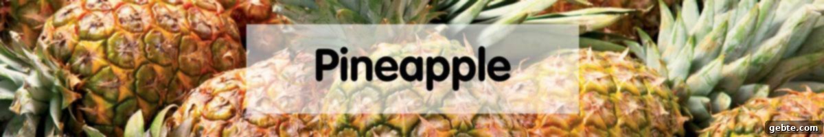 Τροπικός Ανανάς