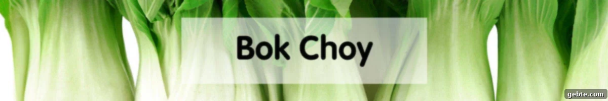 Φρέσκο Bok Choy