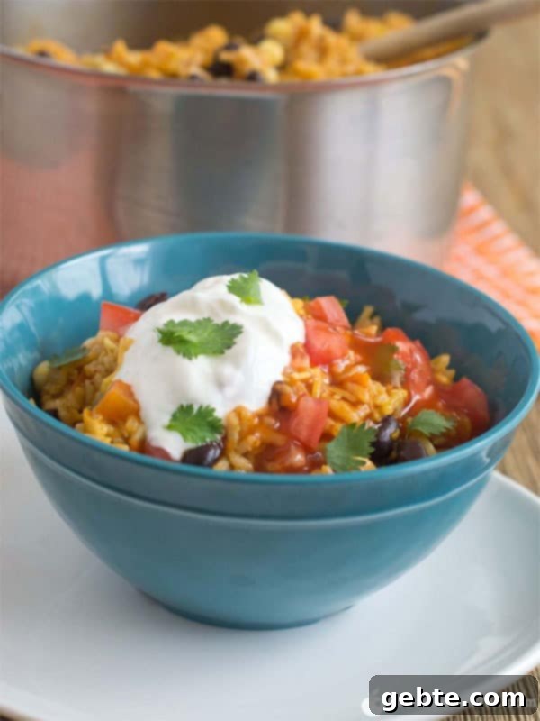 Χορτοφαγικά Enchilada Bowls σε Μία Κατσαρόλα