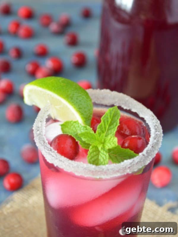 Mocktail Mojito Ροδιού με Κράνμπερι