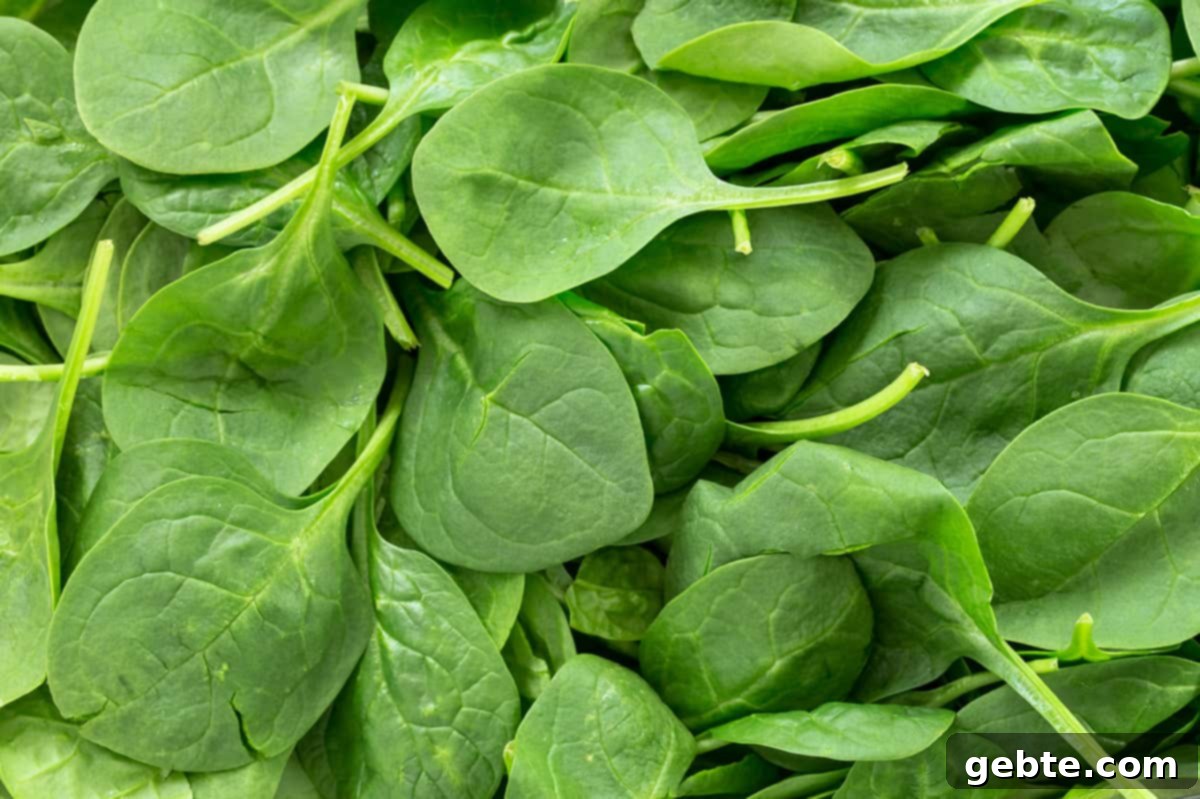 Food Rx Καλύτερες τροφές που βοηθούν στην αντιμετώπιση του άγχους: Σκούρα φυλλώδη λαχανικά Food Rx Καλύτερες τροφές που βοηθούν στην αντιμετώπιση του άγχους: Σκούρα φυλλώδη λαχανικά