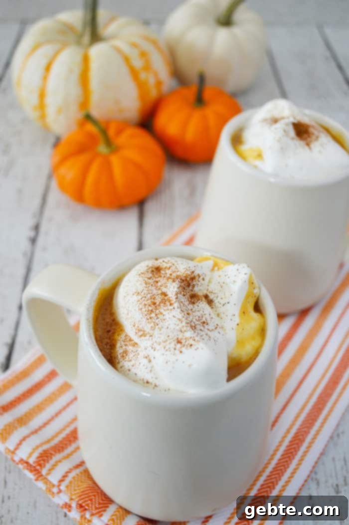 Ένα παιδικό ρόφημα Pumpkin Spice Latte χωρίς καφεΐνη, μια υγιεινή και ασφαλής εναλλακτική λύση για παιδιά που θέλουν να απολαύσουν γεύσεις καφέ χωρίς τους κινδύνους της καφεΐνης.