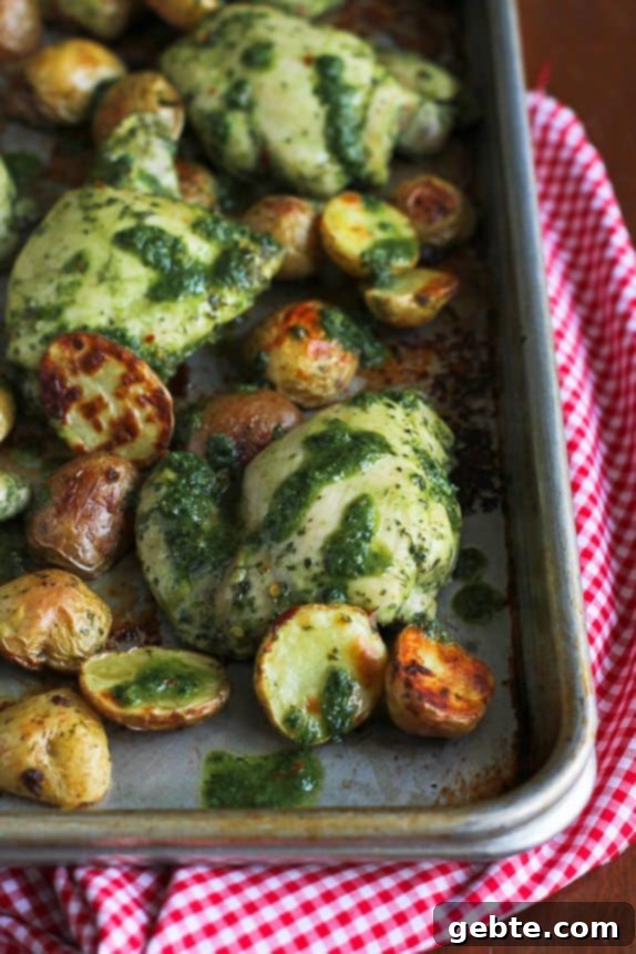 Κοτόπουλο Chimichurri & Πατάτες σε Ταψί