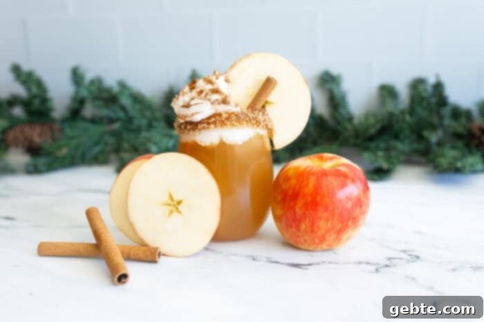 Χριστουγεννιάτικο mocktail με μηλόκρασο, διακοσμημένο με μήλα και κανέλα.
