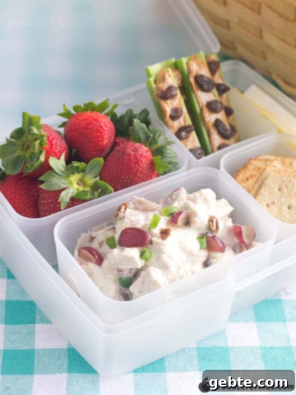Εύκολο Bento Box για Πικνίκ
