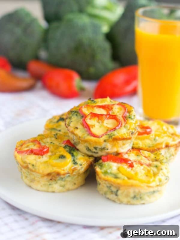 Quiches χωρίς κρούστα με μπρόκολο και τυρί, ιδανικά για προετοιμασία πρωινού και κατάψυξη.