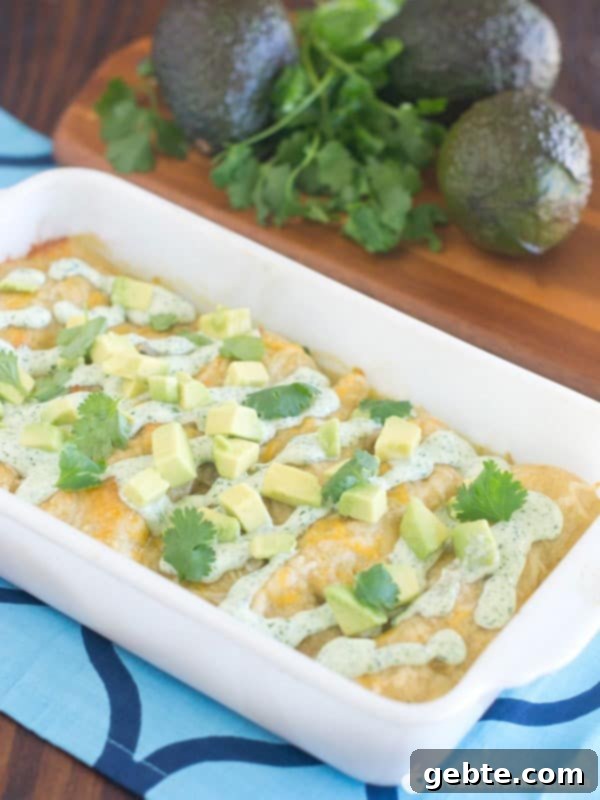 Νόστιμες enchiladas με κοτόπουλο και αβοκάντο, ιδανικές για προετοιμασία εκ των προτέρων και εύκολο ζέσταμα.