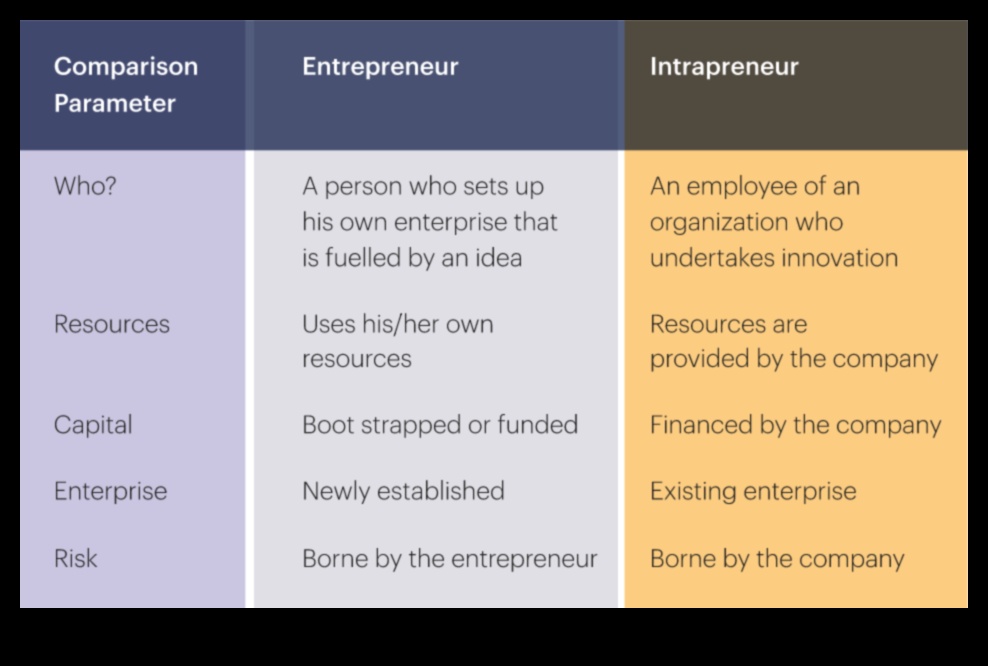 Intrapreneurship Insights Πώς να προωθήσετε την καινοτομία στις εταιρείες 4 Intrapreneurship Insights: Προώθηση της Καινοτομίας εντός των Επιχειρήσεων