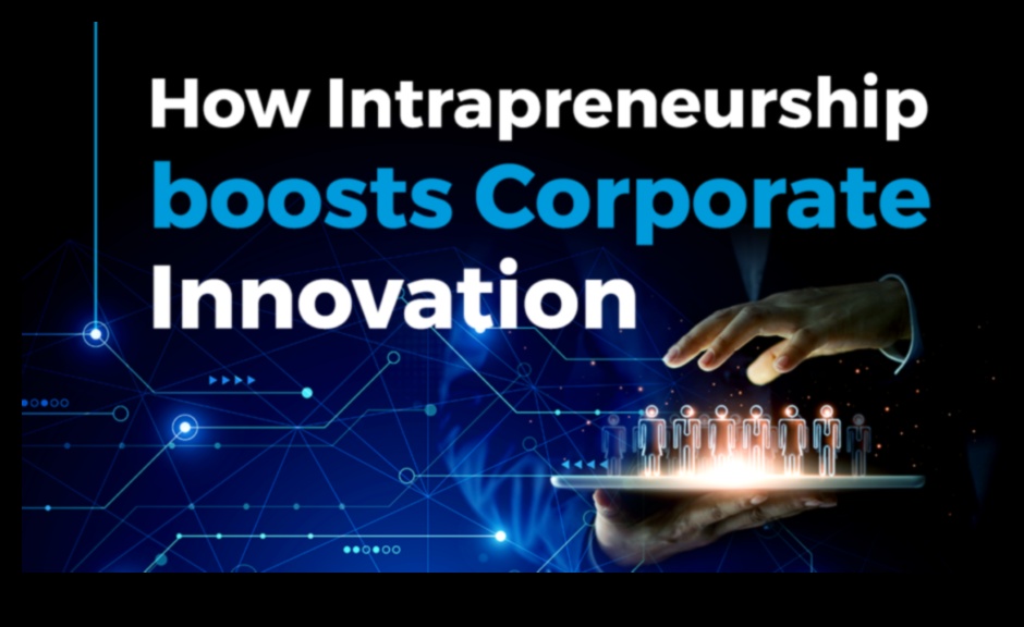 Intrapreneurship Insights Πώς να προωθήσετε την καινοτομία στις εταιρείες 2 Intrapreneurship Insights: Προώθηση της Καινοτομίας εντός των Επιχειρήσεων