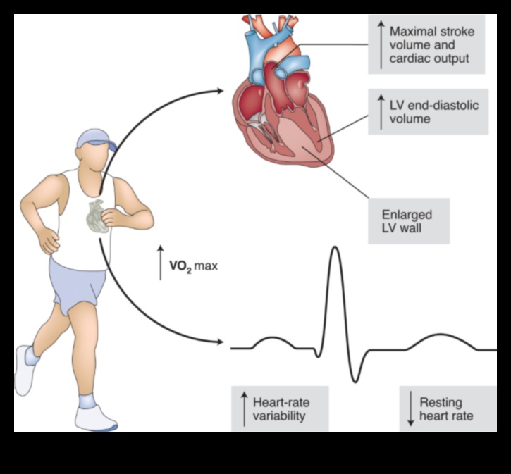 Heart Health Horizons: Exploring the Depths of Cardio Fitness