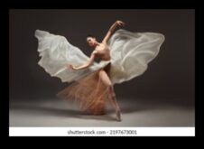 Χαριτώδεις κινήσεις μπαλέτου Zero-G σε συνθήκες χωρίς βάρος