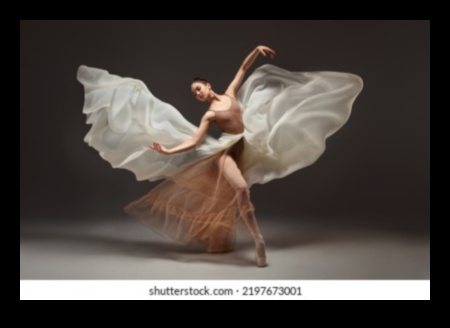 Χαριτώδεις κινήσεις μπαλέτου Zero-G σε συνθήκες χωρίς βάρος