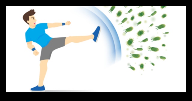 Ασκήστε την καλύτερη άμυνα του σώματός σας ενάντια στις ασθένειες 4 Ανάφλεξη του ανοσοποιητικού συστήματος: Πώς η άσκηση ενισχύει την άμυνα του σώματός σας