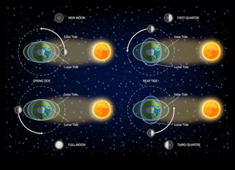 Celestial Ballet: Dancing Orbs in the Grand Performance of Our System