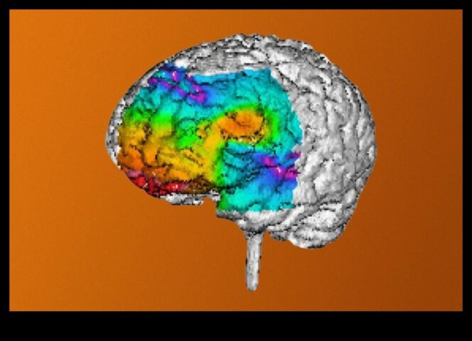 Συντονισμός 3D Μοντελοποίησης Μια βαθιά κατάδυση στη δύναμη των οπτικών διαστάσεων