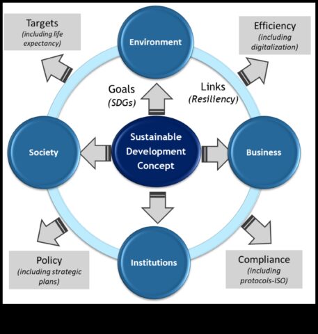 Στρατηγικές για τη βιώσιμη ανάπτυξη Η επιχειρηματική σοφία στο μοντέλο