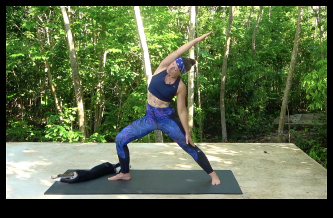 Supple Strength: Ενσωμάτωση ευελιξίας για ολιστική φυσική κατάσταση