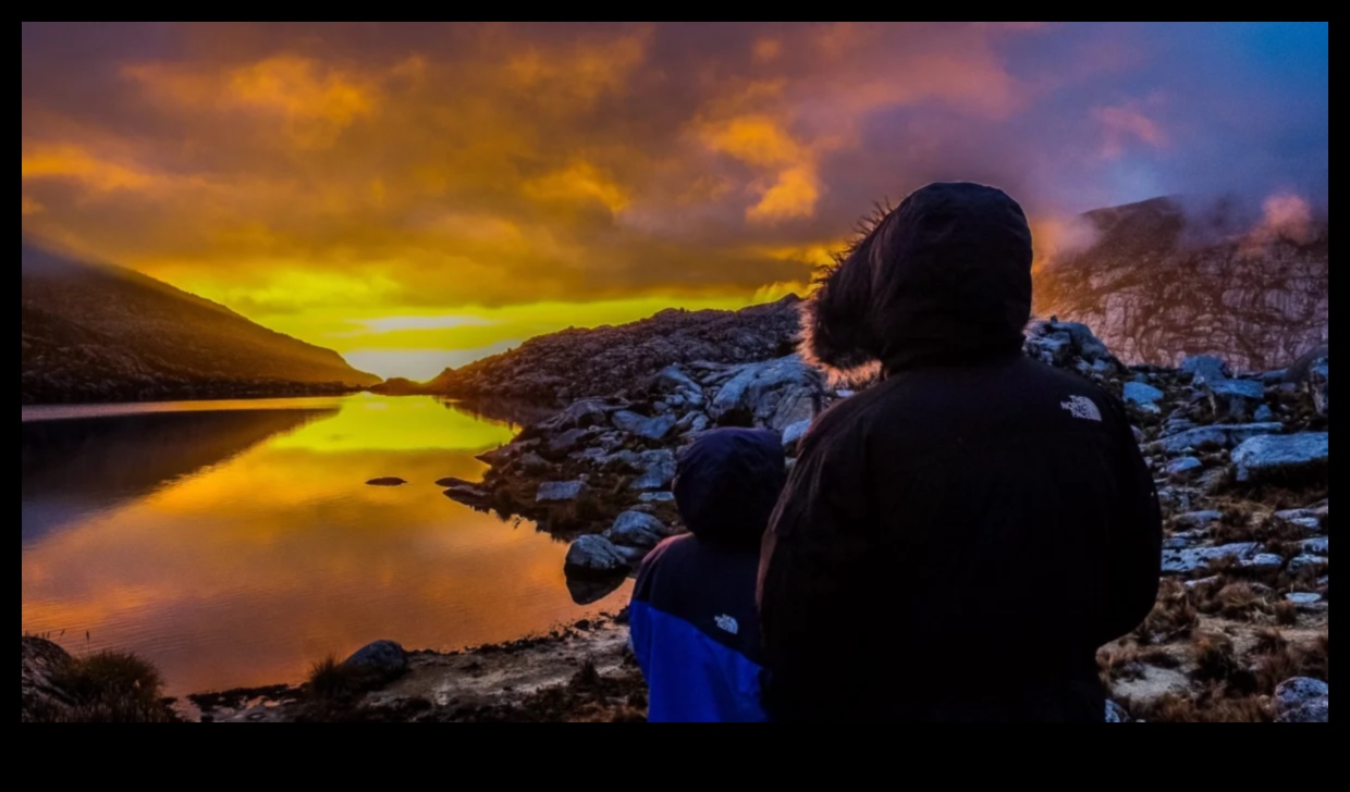 Eco-Friendly Expeditions: Hybrid Adventures for Nature Conservation