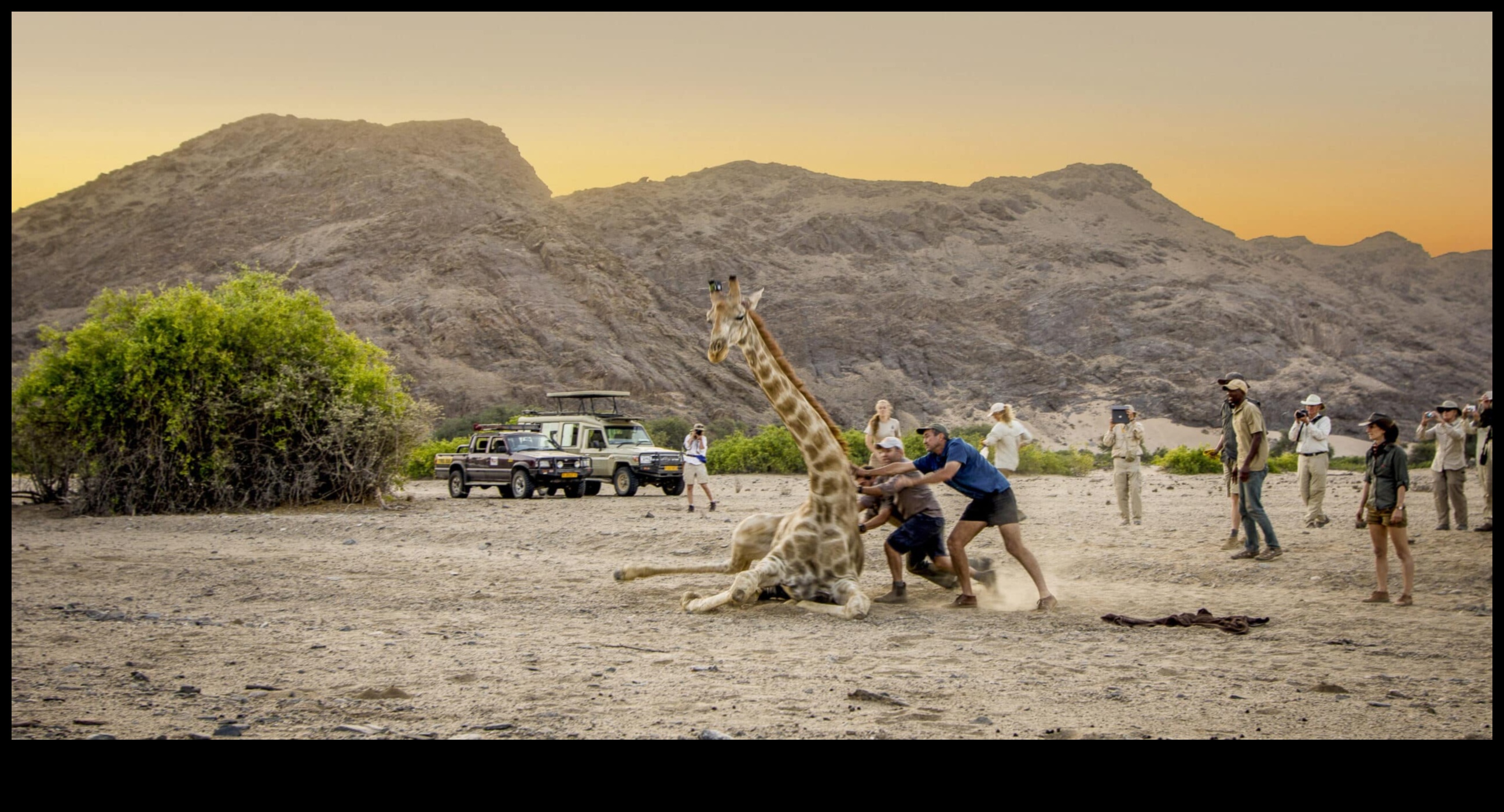 Eco-Friendly Expeditions: Hybrid Adventures for Nature Conservation