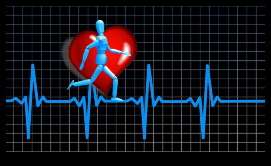 Heartbeat Resonance: The Echo of Cardiovascular Fitness