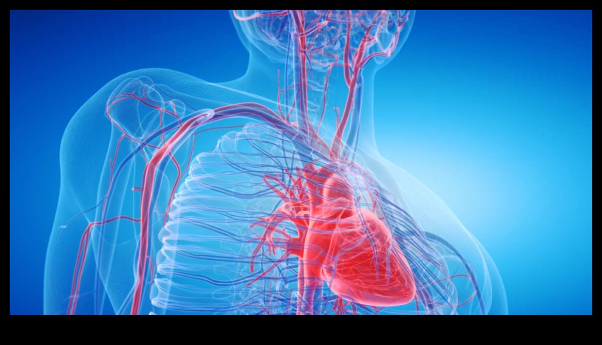 Heartbeat Resonance: The Echo of Cardiovascular Fitness