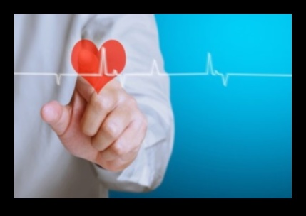 Heartbeat Resonance: The Echo of Cardiovascular Fitness