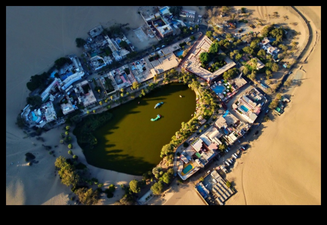 Desert Oasis: Outdoor Exercises Midst Arid Beauty