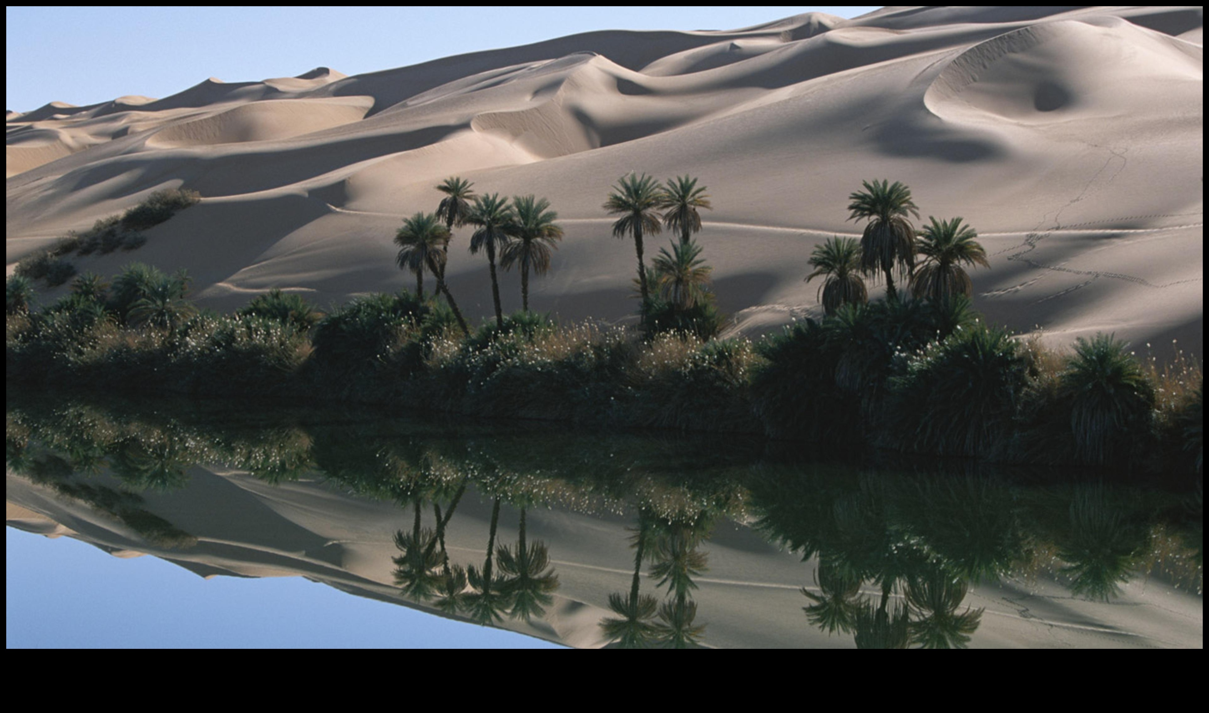 Desert Oasis: Outdoor Exercises Midst Arid Beauty