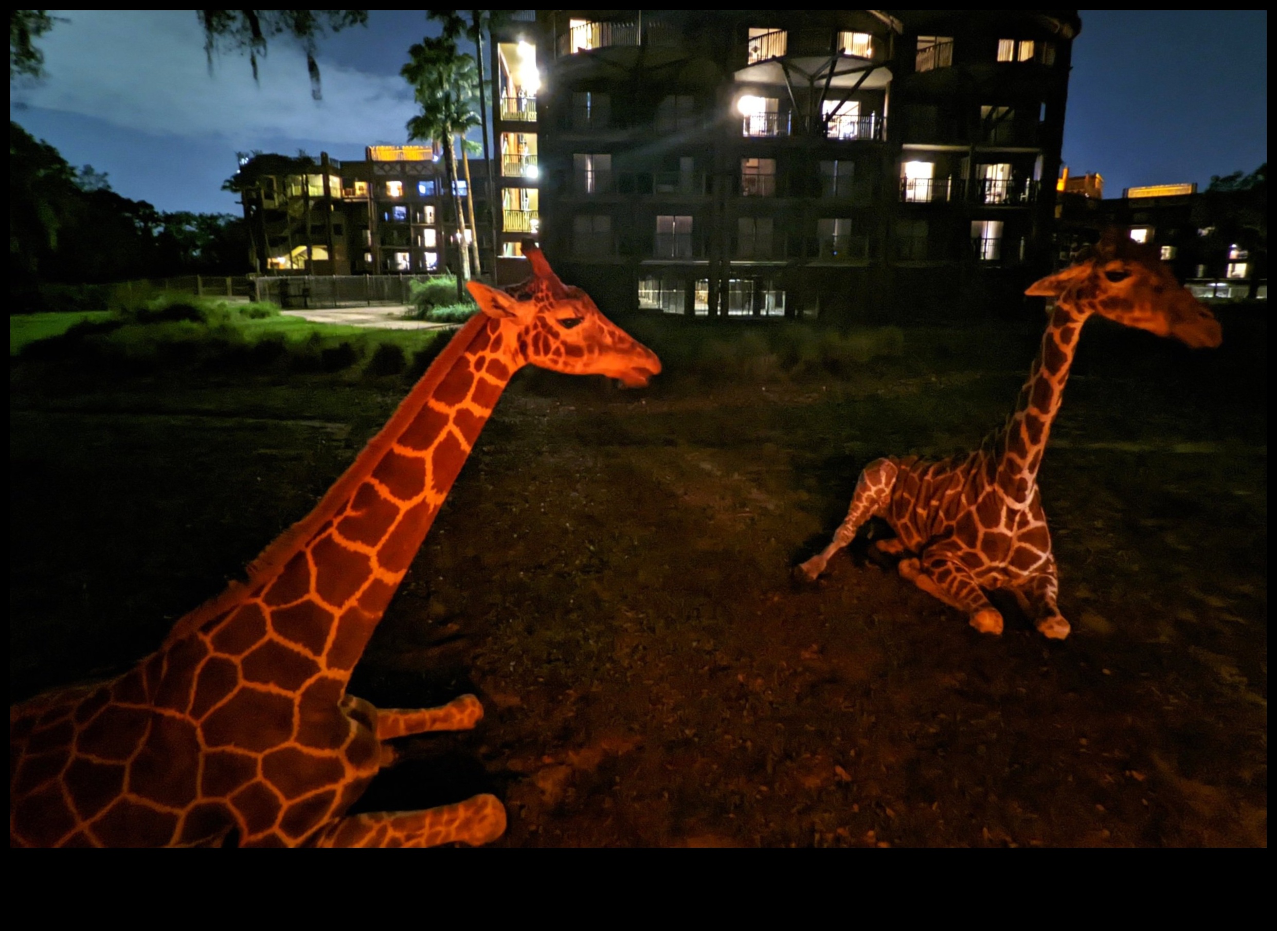 Starlit Safari: An Expedition into the Wilderness of Astounding Stars