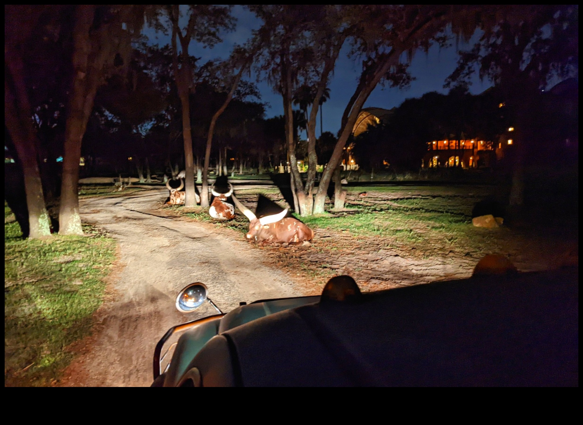 Starlit Safari: An Expedition into the Wilderness of Astounding Stars